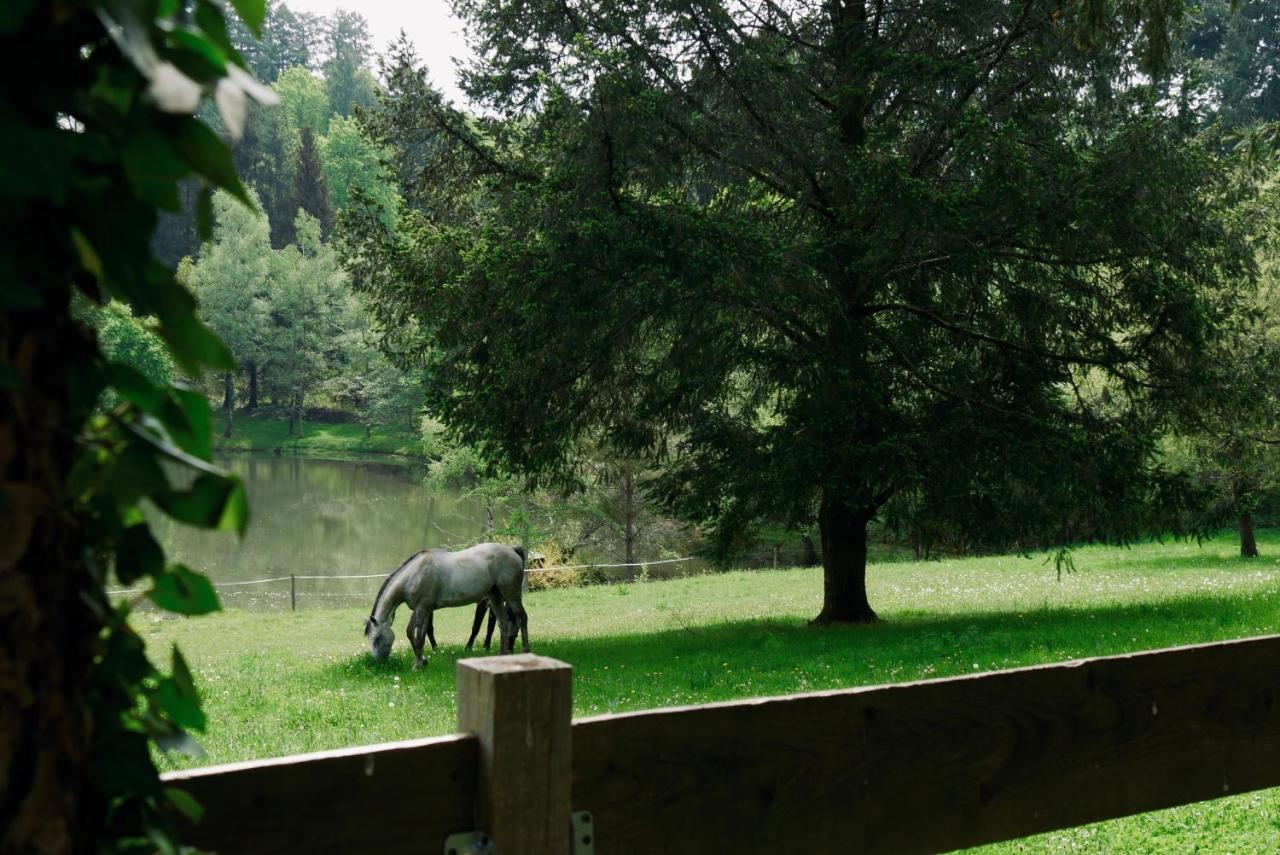 Manoir De Chantemerle Sainte-Fortunade Buitenkant foto