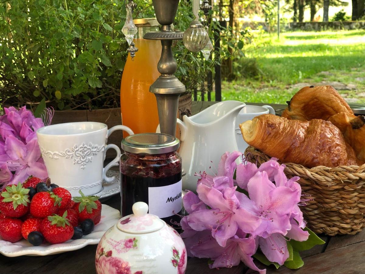 Manoir De Chantemerle Sainte-Fortunade Buitenkant foto
